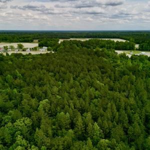 Photo #28 of SOLD property in Off Hwy 903, Snow Hill, NC 115.0 acres