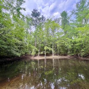 Photo #30 of SOLD property in Off Hwy 903, Snow Hill, NC 115.0 acres
