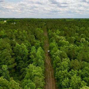 Photo #34 of SOLD property in Off Hwy 903, Snow Hill, NC 115.0 acres