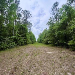 Photo #35 of SOLD property in Off Hwy 903, Snow Hill, NC 115.0 acres
