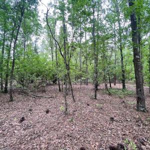 Photo #36 of SOLD property in Off Hwy 903, Snow Hill, NC 115.0 acres