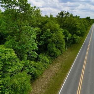 Photo #37 of SOLD property in Off Hwy 903, Snow Hill, NC 115.0 acres