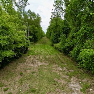 Photo #38 of SOLD property in Off Hwy 903, Snow Hill, NC 115.0 acres
