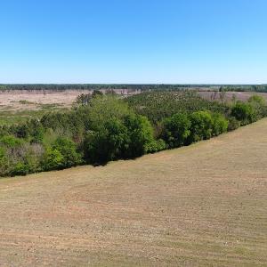 Photo #11 of Off East Main Street Extension, Bennettsville, SC 45.0 acres