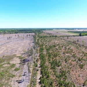 Photo #13 of Off East Main Street Extension, Bennettsville, SC 40.1 acres