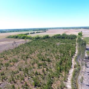 Photo #14 of Off East Main Street Extension, Bennettsville, SC 45.0 acres