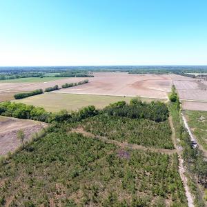 Photo #15 of Off East Main Street Extension, Bennettsville, SC 40.1 acres