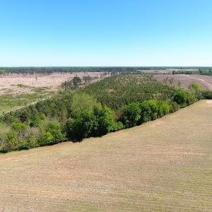 Photo #3 of Off East Main Street Extension, Bennettsville, SC 45.0 acres