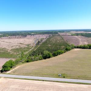 Photo #4 of Off East Main Street Extension, Bennettsville, SC 40.1 acres