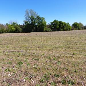 Photo #8 of Off East Main Street Extension, Bennettsville, SC 40.1 acres