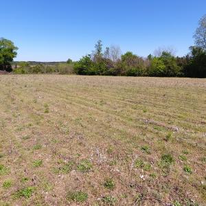 Photo #9 of Off East Main Street Extension, Bennettsville, SC 45.0 acres