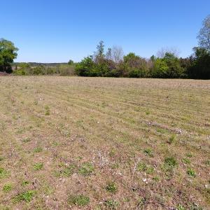 Photo #9 of Off East Main Street Extension, Bennettsville, SC 40.1 acres