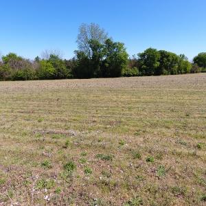 Photo #10 of Off East Main Street Extension, Bennettsville, SC 45.0 acres