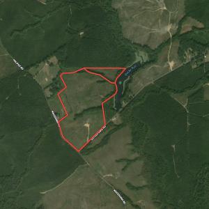 Photo #1 of SOLD property in Off Doyles Lake Rd, Emporia, VA 74.3 acres
