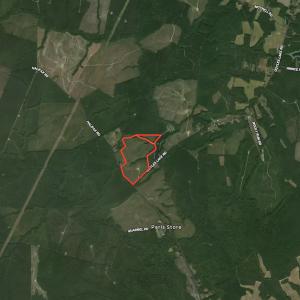 Photo #22 of SOLD property in Off Doyles Lake Rd, Emporia, VA 74.3 acres