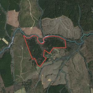 Photo #1 of SOLD property in Off Hobbs Rd., Emporia, VA 70.0 acres