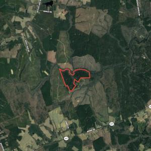 Photo #45 of SOLD property in Off Hobbs Rd., Emporia, VA 70.0 acres