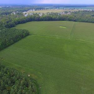 Photo #2 of SOLD property in Off Dailey Road, Camden, NC 89.7 acres