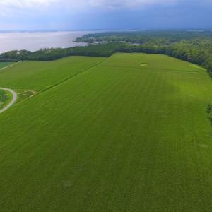 Photo #3 of SOLD property in Off Dailey Road, Camden, NC 89.7 acres