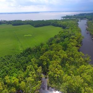 Photo #4 of SOLD property in Off Dailey Road, Camden, NC 89.7 acres