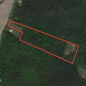 Photo #18 of 10531 Woodford Rd, Woodford, VA 16.7 acres