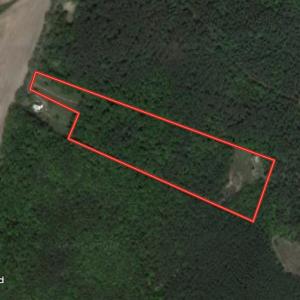 Photo #18 of 10531 Woodford Rd, Woodford, VA 16.7 acres