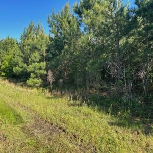 Photo #10 of Off Hwy 11 , Rose Hill, NC 12.3 acres