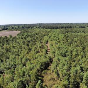 Photo #5 of Off Hwy 11 , Rose Hill, NC 12.3 acres