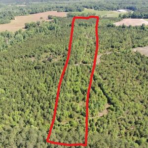 Photo #6 of Off Hwy 11 , Rose Hill, NC 12.3 acres