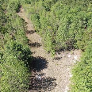 Photo #4 of Off Hwy 11 , Rose Hill, NC 12.3 acres