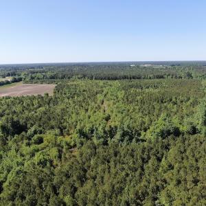 Photo #3 of Off Hwy 11 , Rose Hill, NC 12.3 acres
