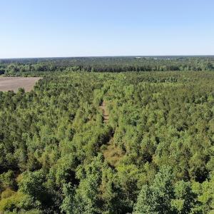 Photo #7 of Off Hwy 11 , Rose Hill, NC 12.3 acres