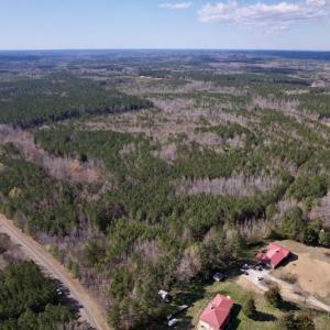 Photo #2 of Off Highway 58, Warrenton , NC 58.8 acres