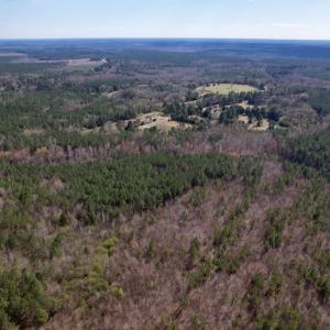 Photo #11 of SOLD property in Off Highway 58, Warrenton , NC 58.8 acres