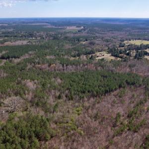 Photo #12 of SOLD property in Off Highway 58, Warrenton , NC 58.8 acres