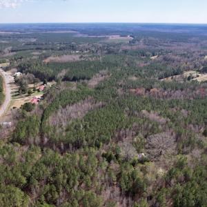 Photo #13 of SOLD property in Off Highway 58, Warrenton , NC 58.8 acres