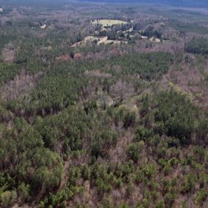 Photo #14 of SOLD property in Off Highway 58, Warrenton , NC 58.8 acres