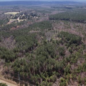 Photo #15 of SOLD property in Off Highway 58, Warrenton , NC 58.8 acres