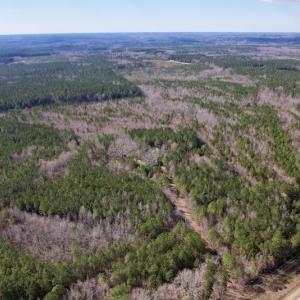 Photo #18 of SOLD property in Off Highway 58, Warrenton , NC 58.8 acres