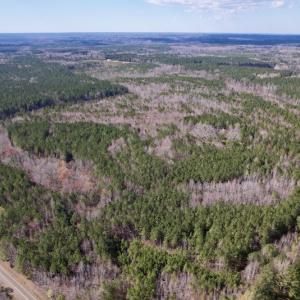 Photo #19 of Off Highway 58, Warrenton , NC 58.8 acres