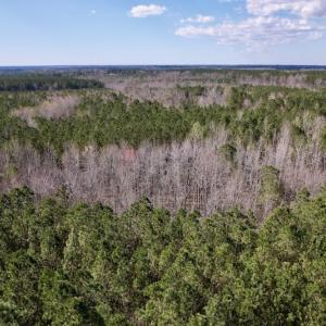 Photo #20 of Off Highway 58, Warrenton , NC 58.8 acres