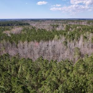 Photo #20 of SOLD property in Off Highway 58, Warrenton , NC 58.8 acres