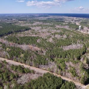 Photo #3 of Off Highway 58, Warrenton , NC 58.8 acres