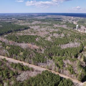 Photo #3 of SOLD property in Off Highway 58, Warrenton , NC 58.8 acres