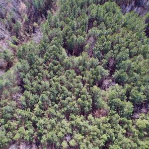 Photo #23 of Off Highway 58, Warrenton , NC 58.8 acres