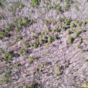 Photo #24 of Off Highway 58, Warrenton , NC 58.8 acres
