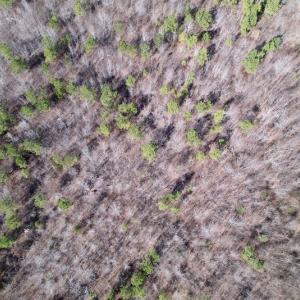 Photo #25 of Off Highway 58, Warrenton , NC 58.8 acres