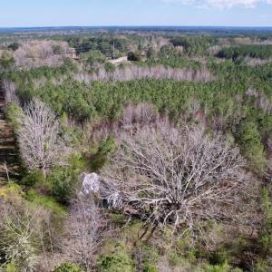 Photo #26 of SOLD property in Off Highway 58, Warrenton , NC 58.8 acres