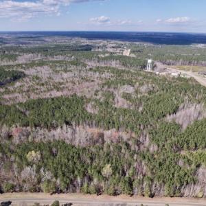 Photo #4 of Off Highway 58, Warrenton , NC 58.8 acres