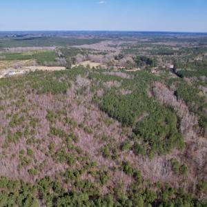 Photo #8 of SOLD property in Off Highway 58, Warrenton , NC 58.8 acres